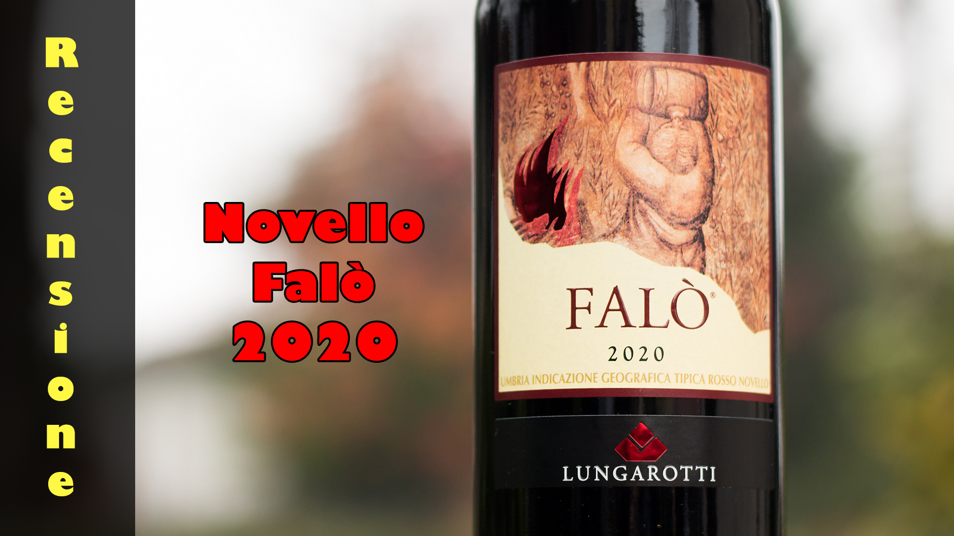 Bottiglia di vino novello